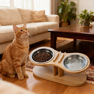 Why the Adjustable Tilted Pet Stand With A Feeding Bowl is a Must-Have for Your Furry Friend