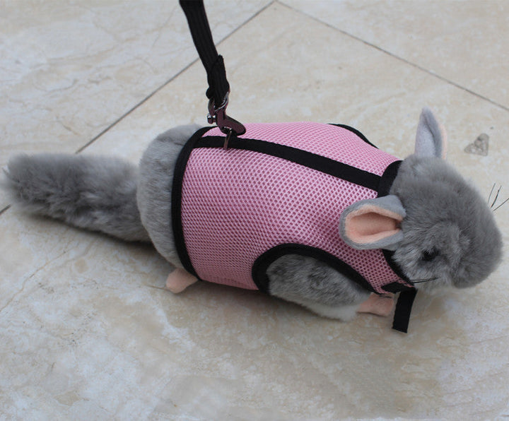The Ultimate Small Pet Adjustable Leash Tool