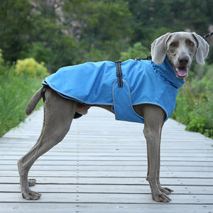 Keep Your Pets Cozy This Winter with Our Stylish Ski Suit