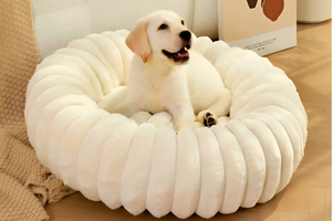 Better Sleep Starts Comfortably Today